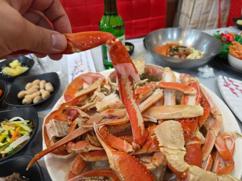 손으로 잡은 대게 다리 클로즈업