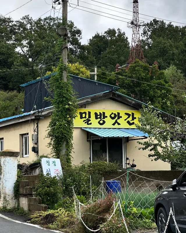 다양한 빵 종류