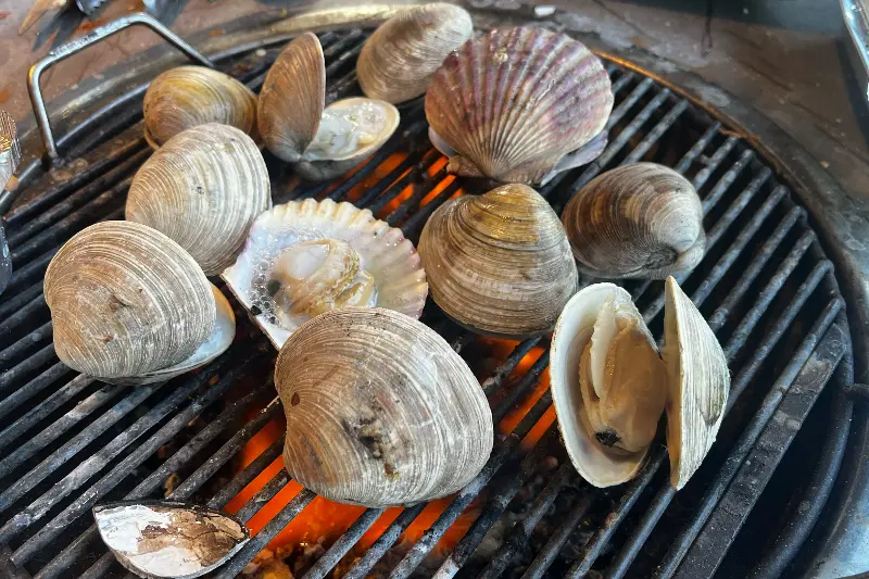 싱싱한 조개구이