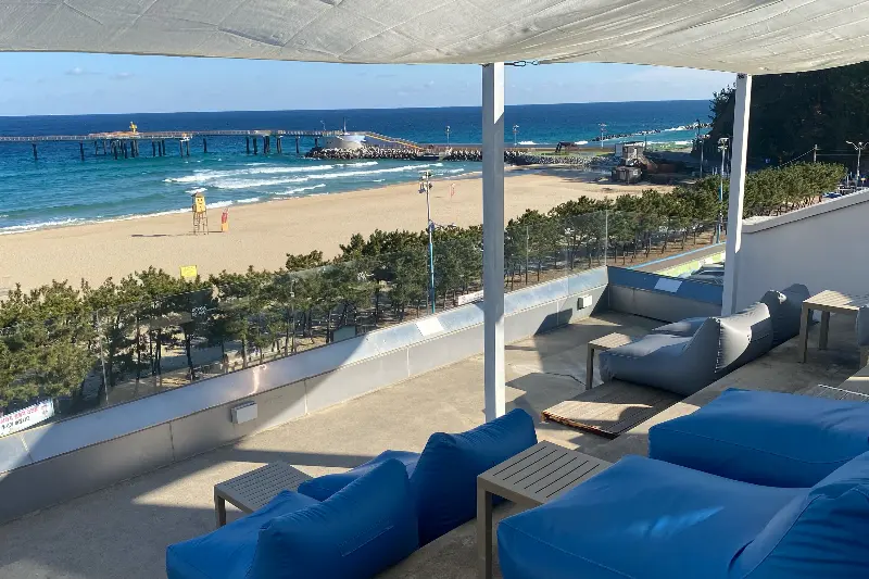 다양한 빵 종류