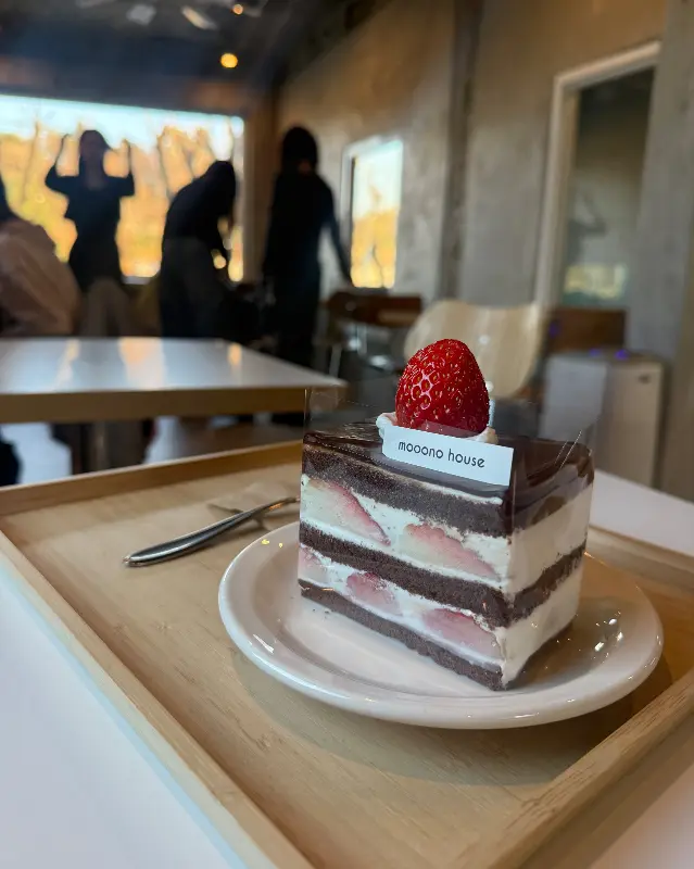 딸기 가나슈 케이크