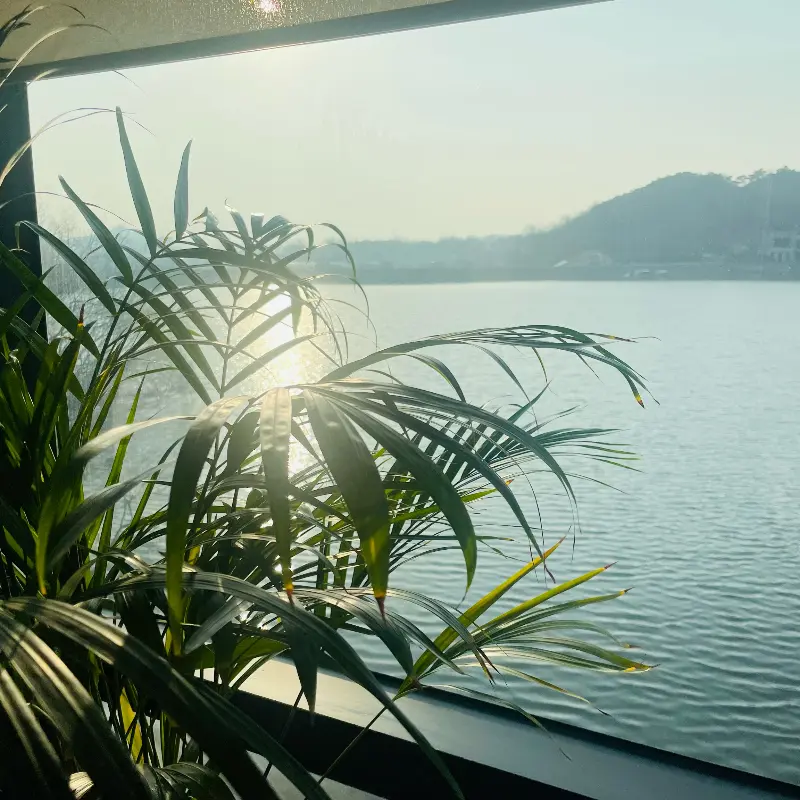 카페에서 바라본 칠곡저수지