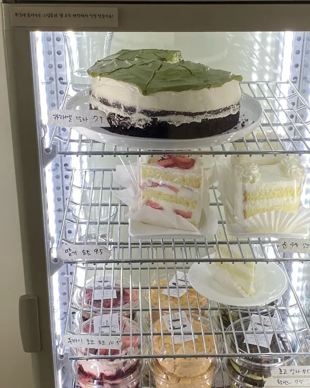 케이크 쇼케이스