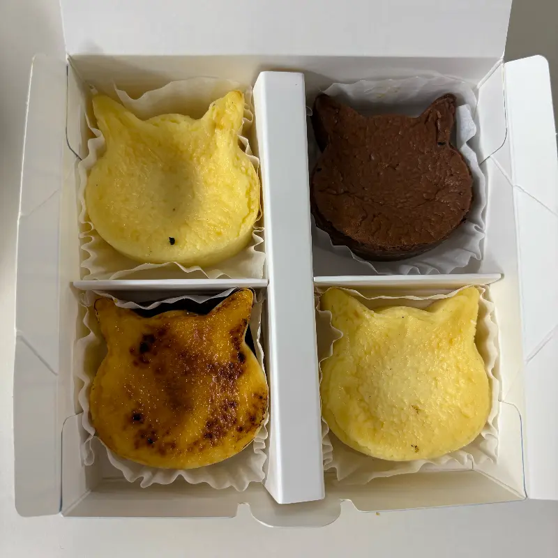 냥치케 4구 세트