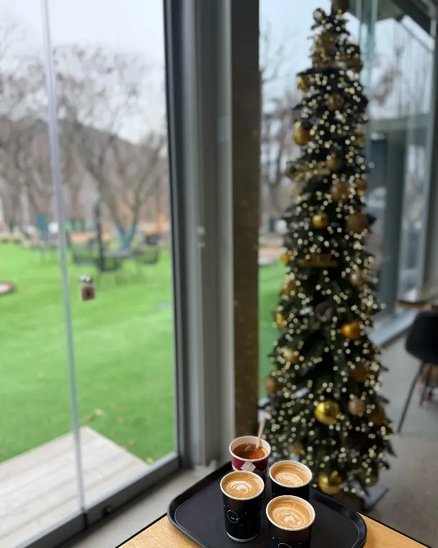 통창 옆 크리스마스 트리와 음료