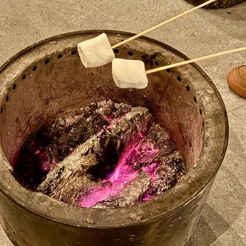 모닥불에 구워 먹는 마시멜로