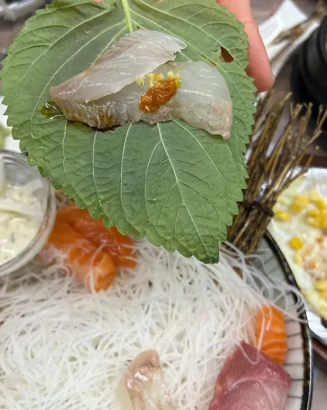 신선한 회를 깻잎에 싸 먹는 모습