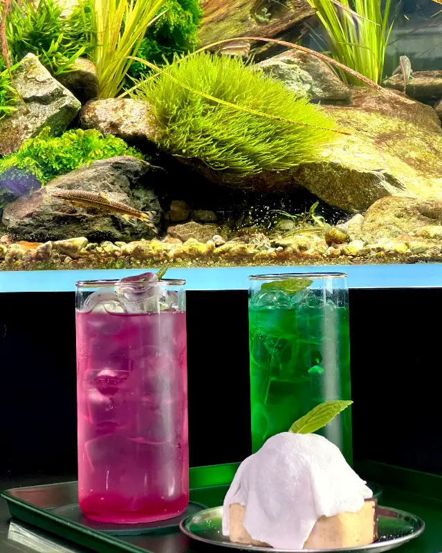 분위기 있는 음료 사진