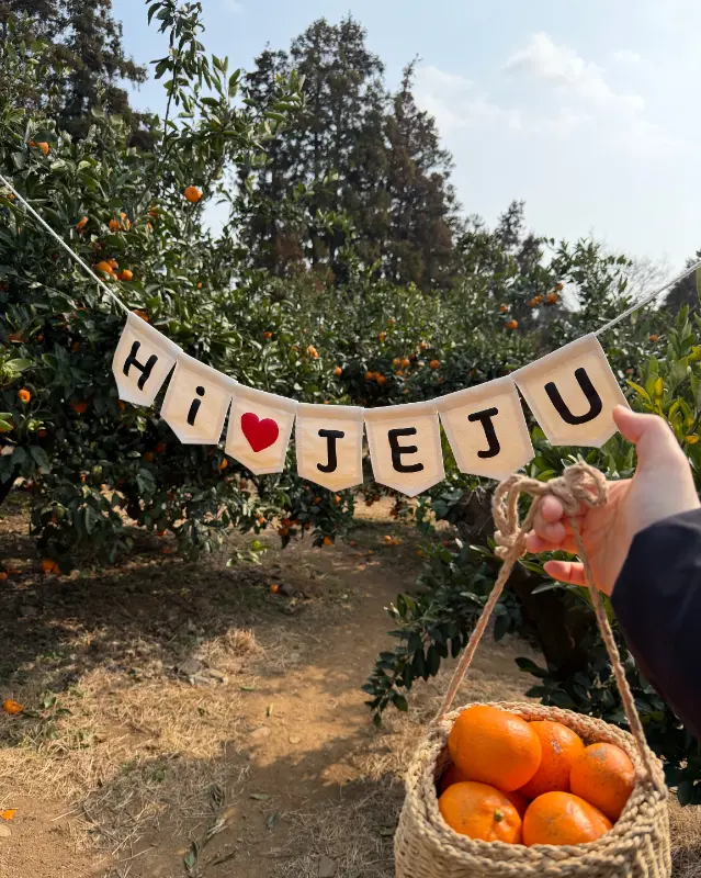 감귤밭 포토존