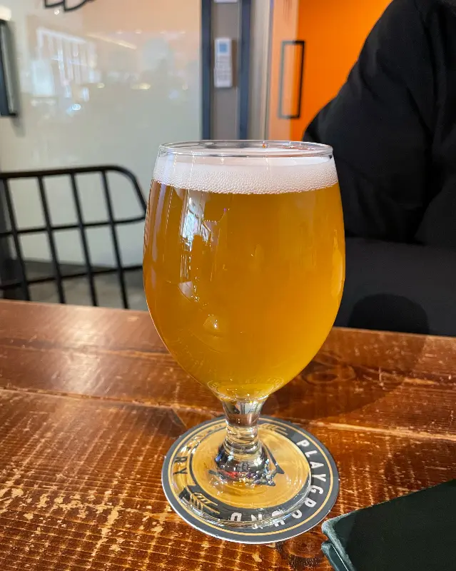 테이블 위에 놓인 맥주잔