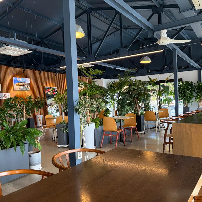 카페 내부 플랜테리어
