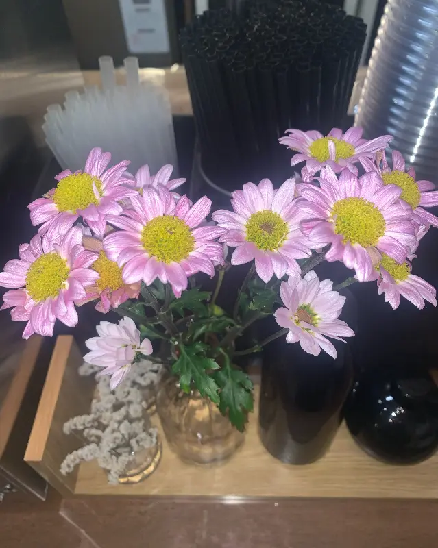 카페를 화사하게 만들어주는 꽃 장식