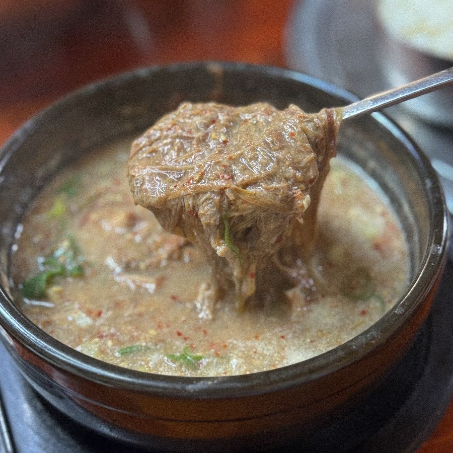 탱글탱글한 면발의 한치 밀면