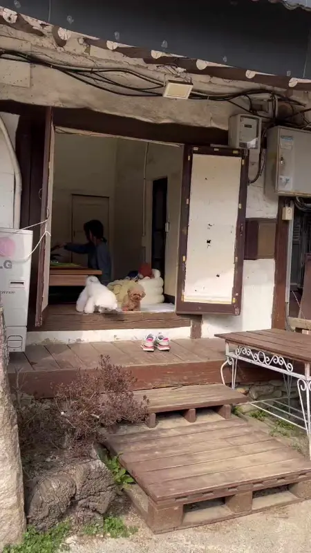 애견 동반 가능한 룸