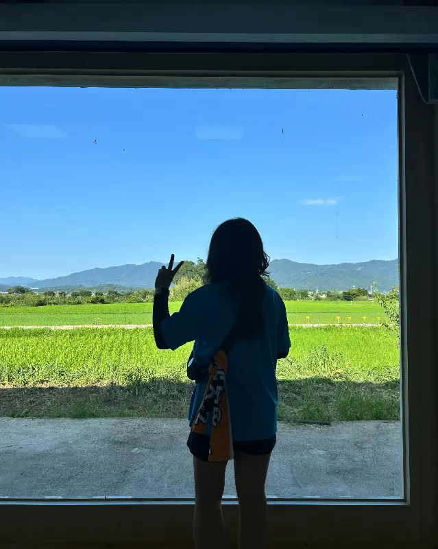 미실란 창밖으로 보이는 논밭 뷰