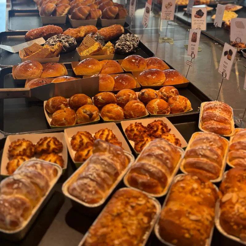 다양한 빵 종류