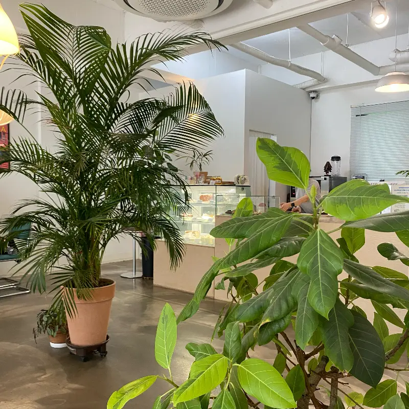 카페 내부 전경