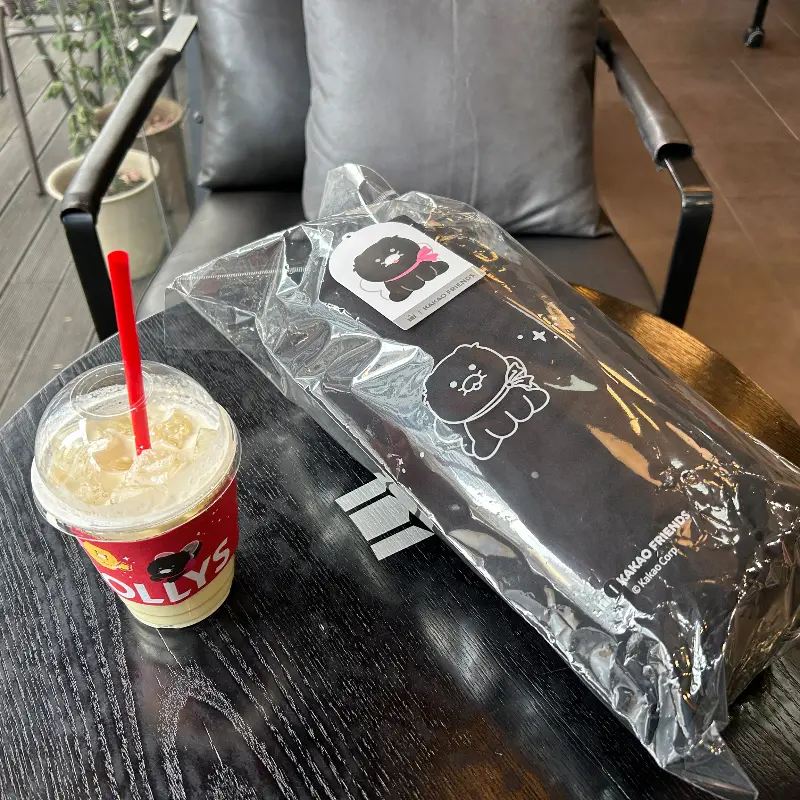 춘식이 콜라보 상품인 패딩 담요