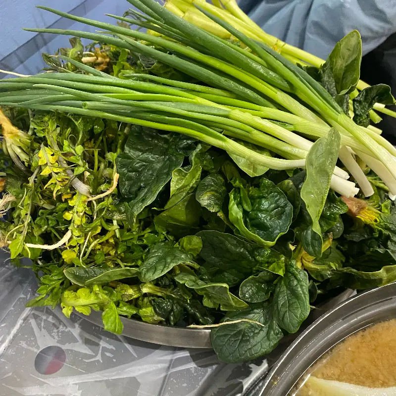 갑오징어차돌박이볶음