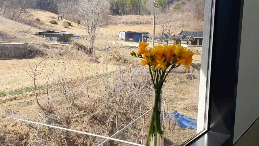 창밖으로 보이는 아름다운 풍경