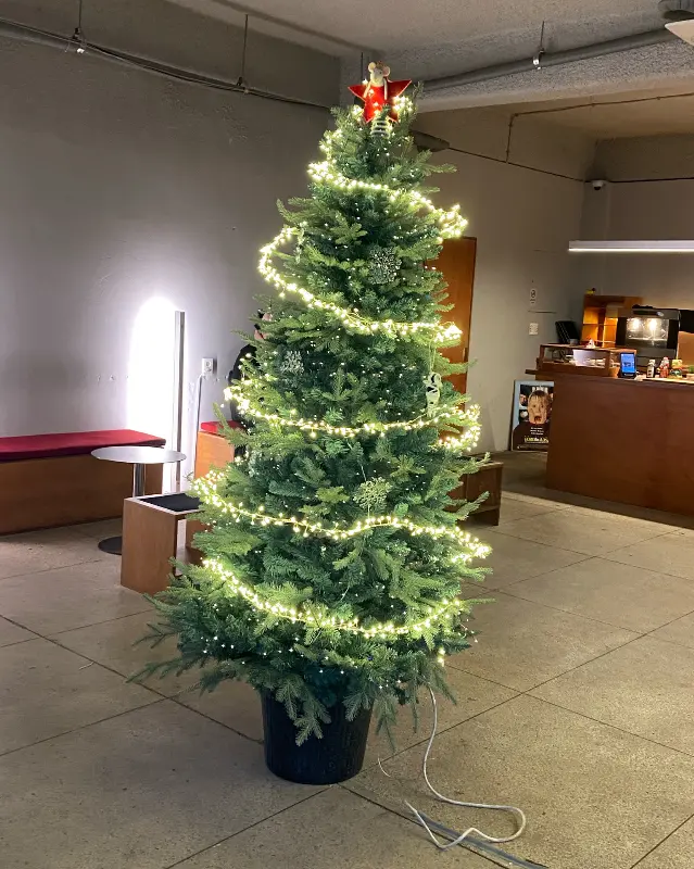 크리스마스 트리 장식