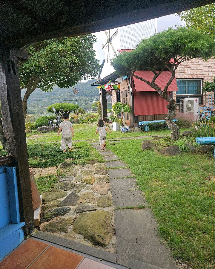 알프스 밀밭에서 바라본 정원 풍경