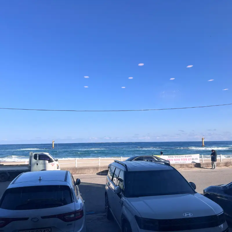 카페 앞 주차장에서 바라본 바다