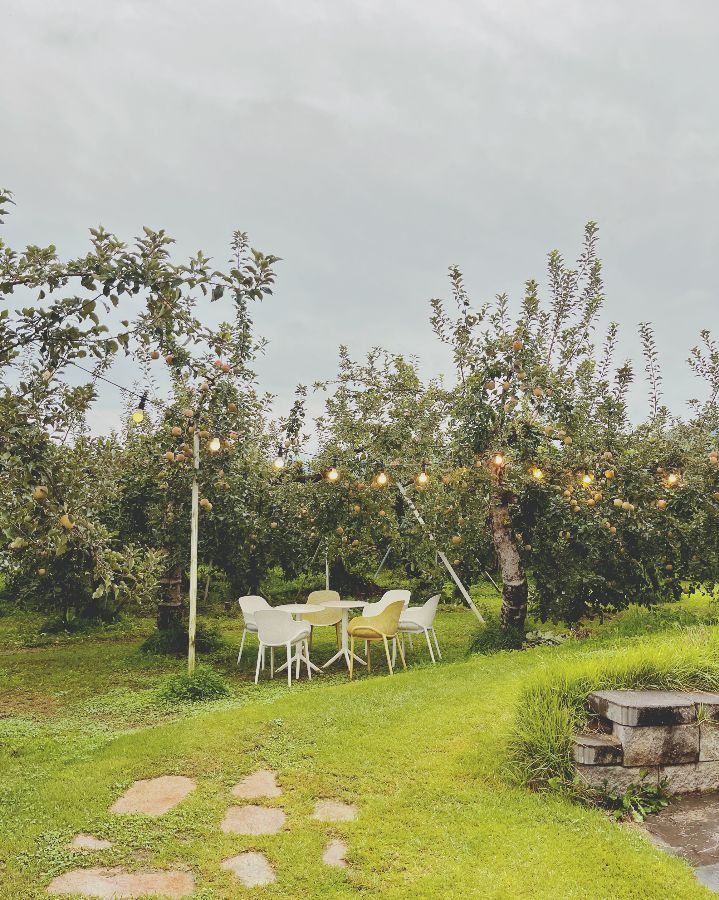 사과나무 아래 놓인 테이블