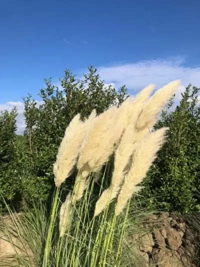 저녁 노을 아래 아름다운 풍경