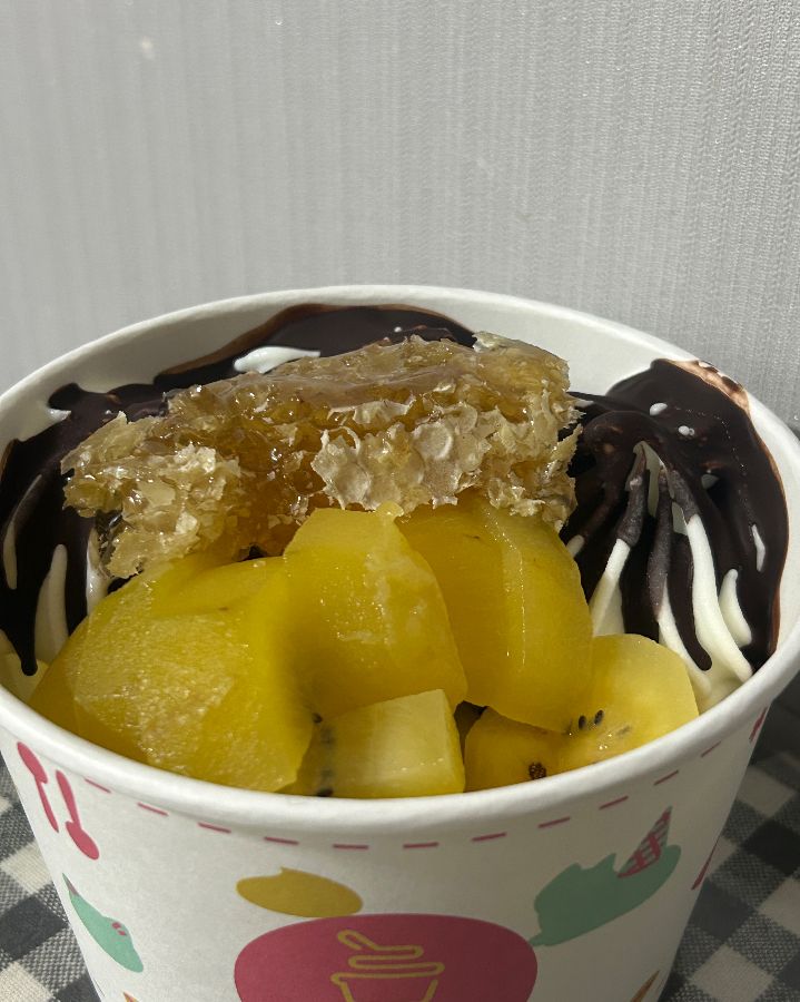 벌집꿀, 키위, 초코 토핑이 올라간 요거트 아이스크림