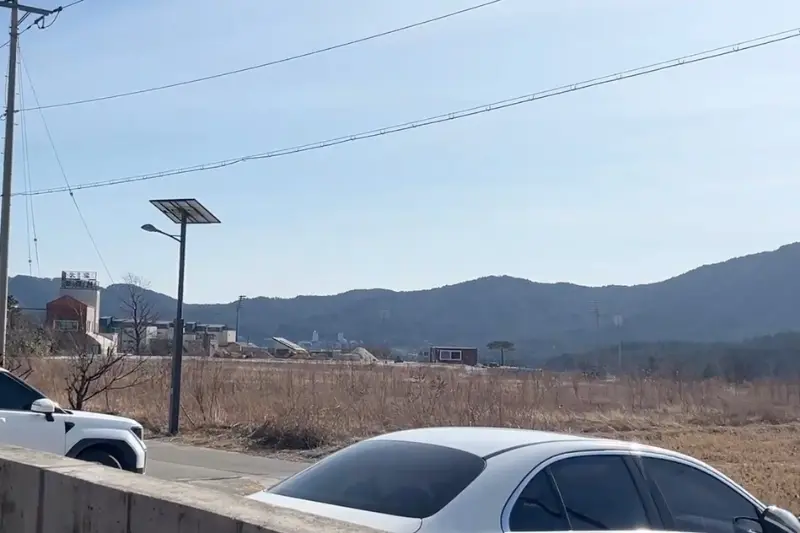 카페에서 바라본 주변 풍경