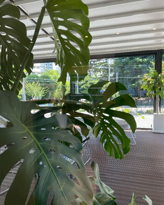 카페 내부의 식물 장식