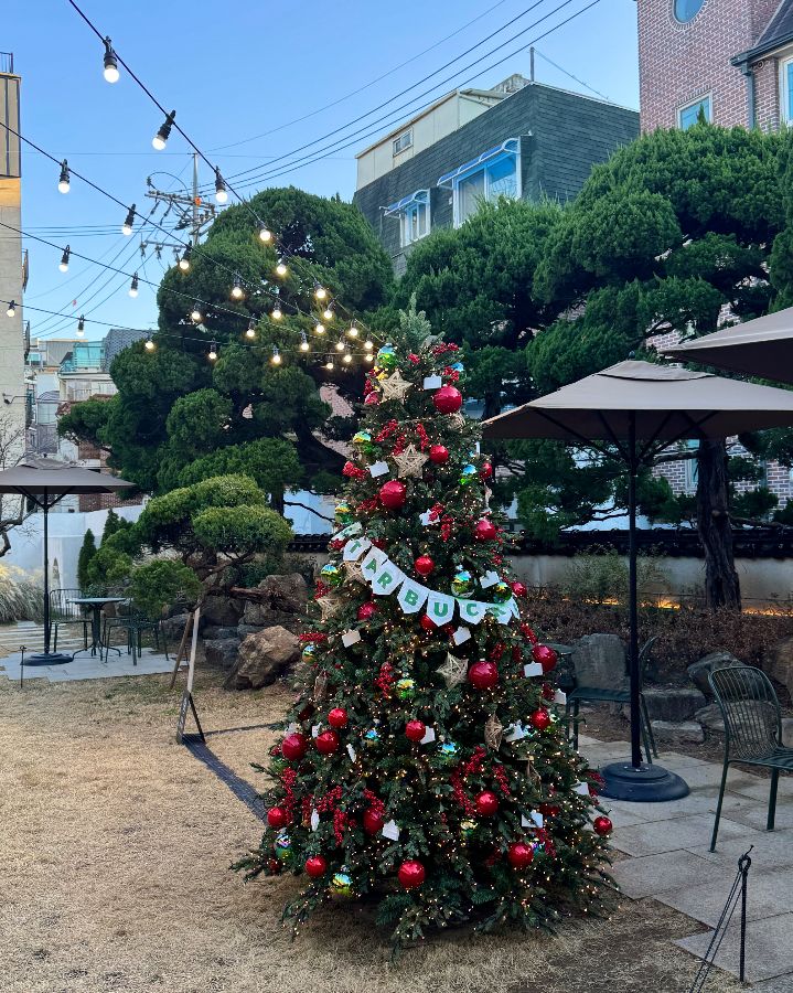 크리스마스 장식으로 꾸며진 정원의 모습