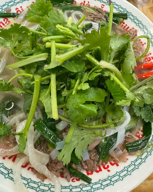 고수가 듬뿍 올려진 쌀국수