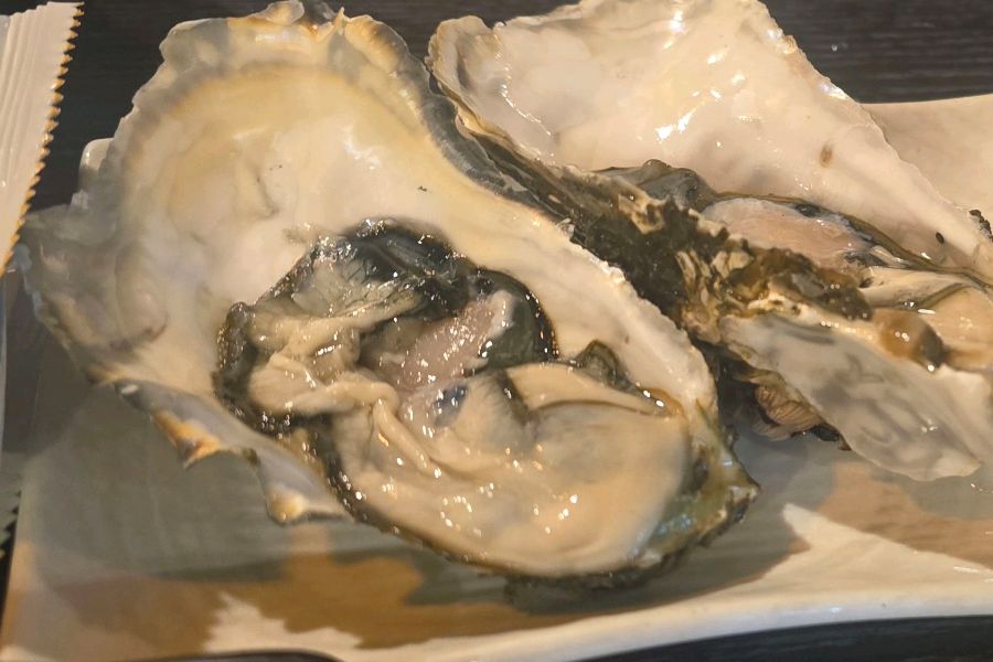 강남스시 신선한 석화