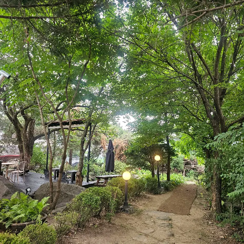 울창한 나무들이 둘러싸고 있는 핀란드숲속카페 외부 전경