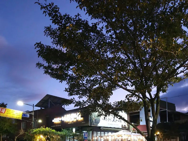 저녁의 사매기집