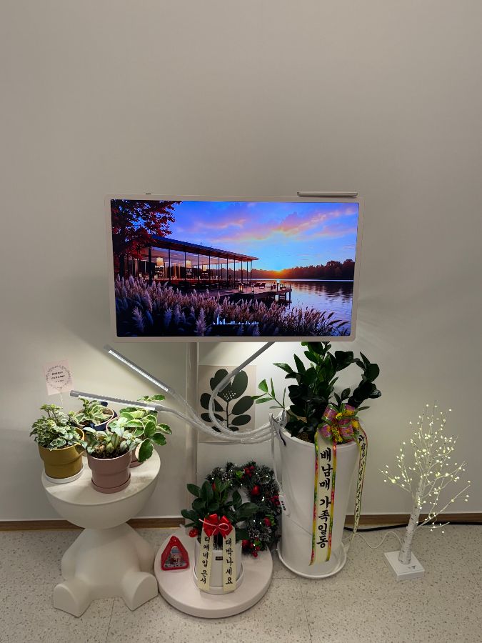 매장 내부에 놓인 싱그러운 화분들이 공간에 생기를 더해줍니다.