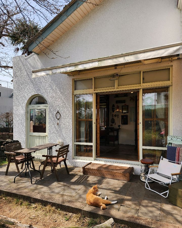 카페 외부 테라스에서 햇볕을 쬐고 있는 고양이, 평화로운 풍경이다.