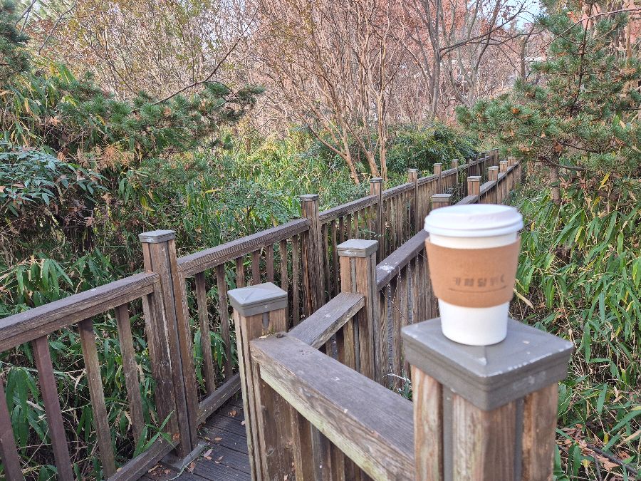 카페 옆 공원의 나무 다리 위에 놓인 테이크 아웃 커피