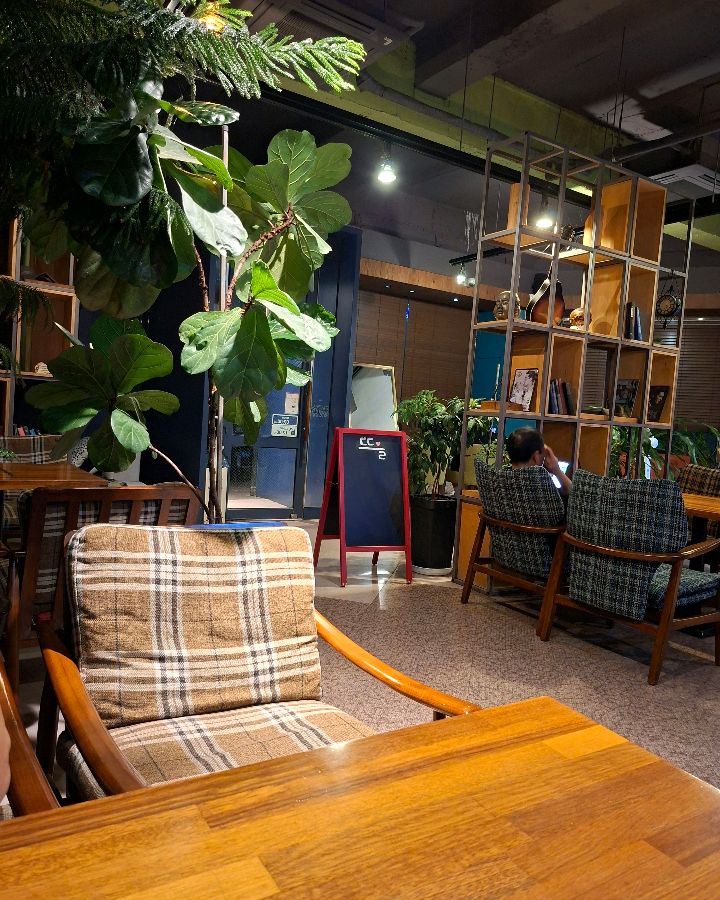 다양한 식물과 책장이 어우러진 카페 내부 인테리어: 자연 친화적인 분위기가 편안함을 더한다.