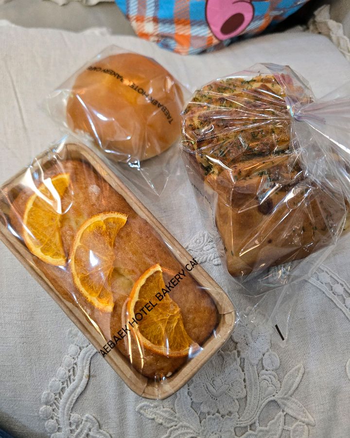 태백호텔 베이커리카페에서 포장해온 다양한 종류의 빵