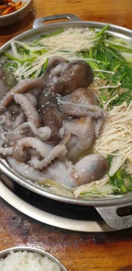 살아있는 낙지가 통째로 들어간 연포탕