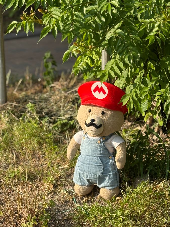 귀여운 인형 장식