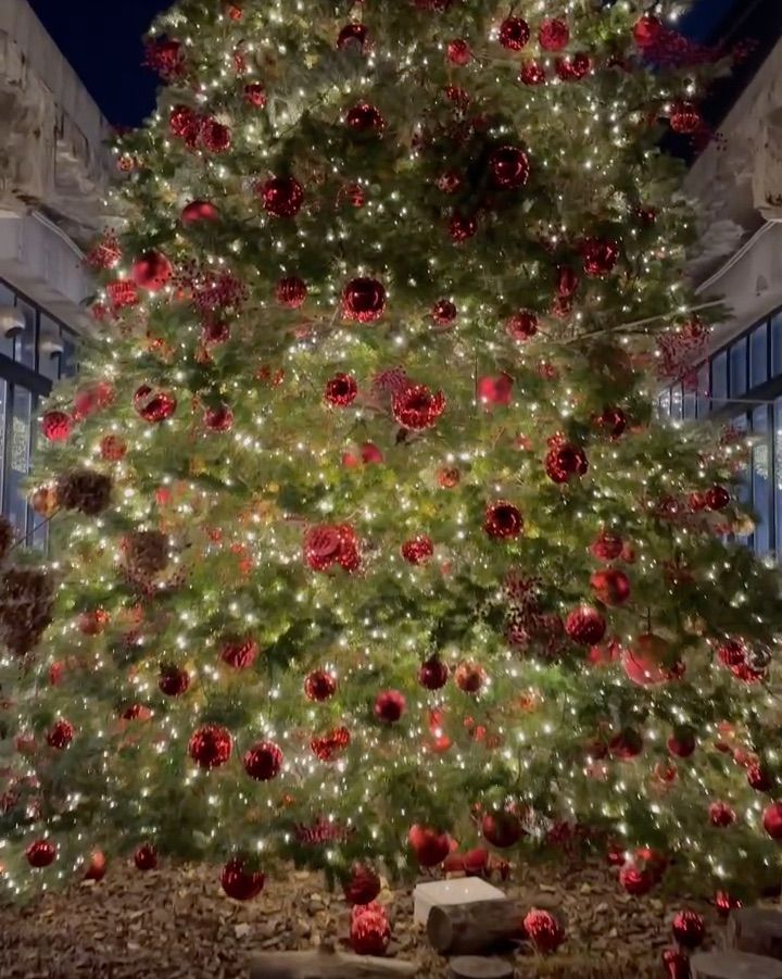 웅장한 크리스마스 트리의 야경