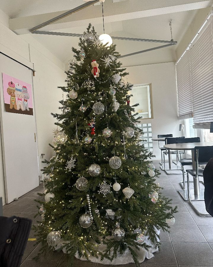 크리스마스 분위기를 더하는 레브의 아름다운 트리