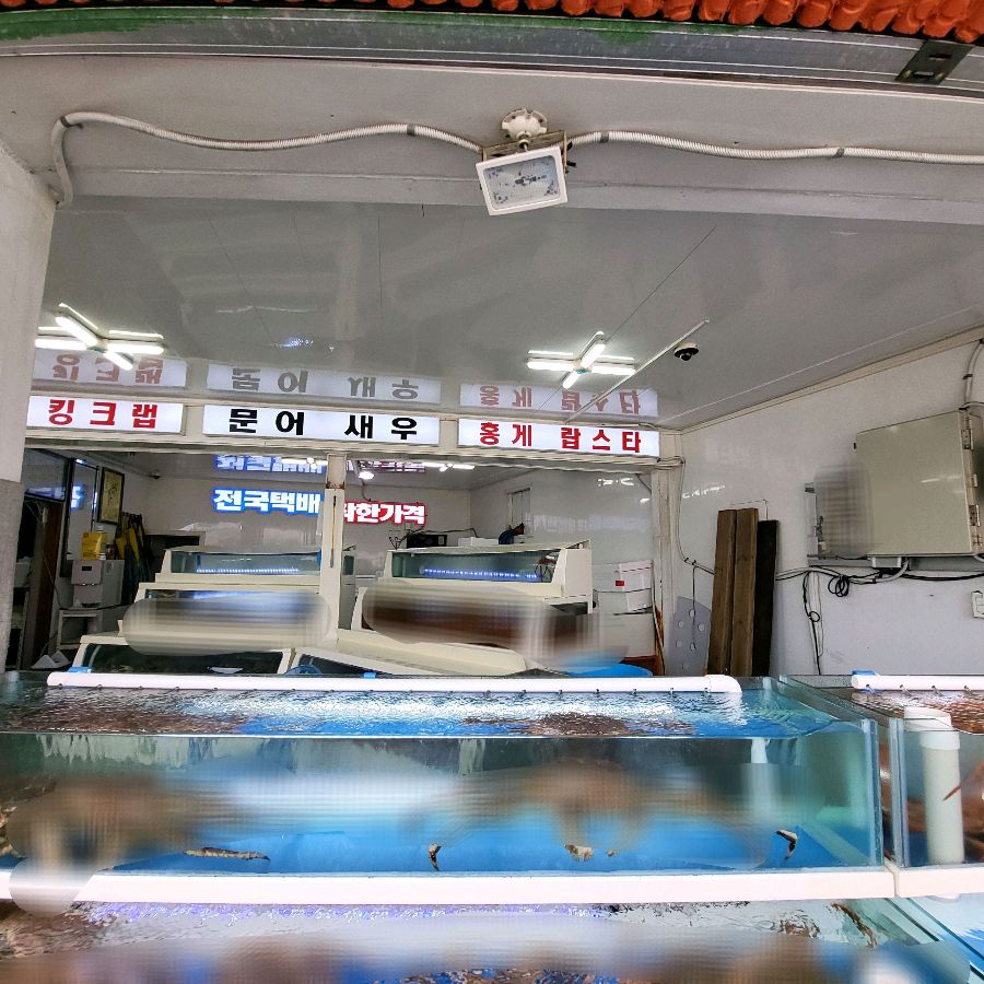 수족관 내부 모습