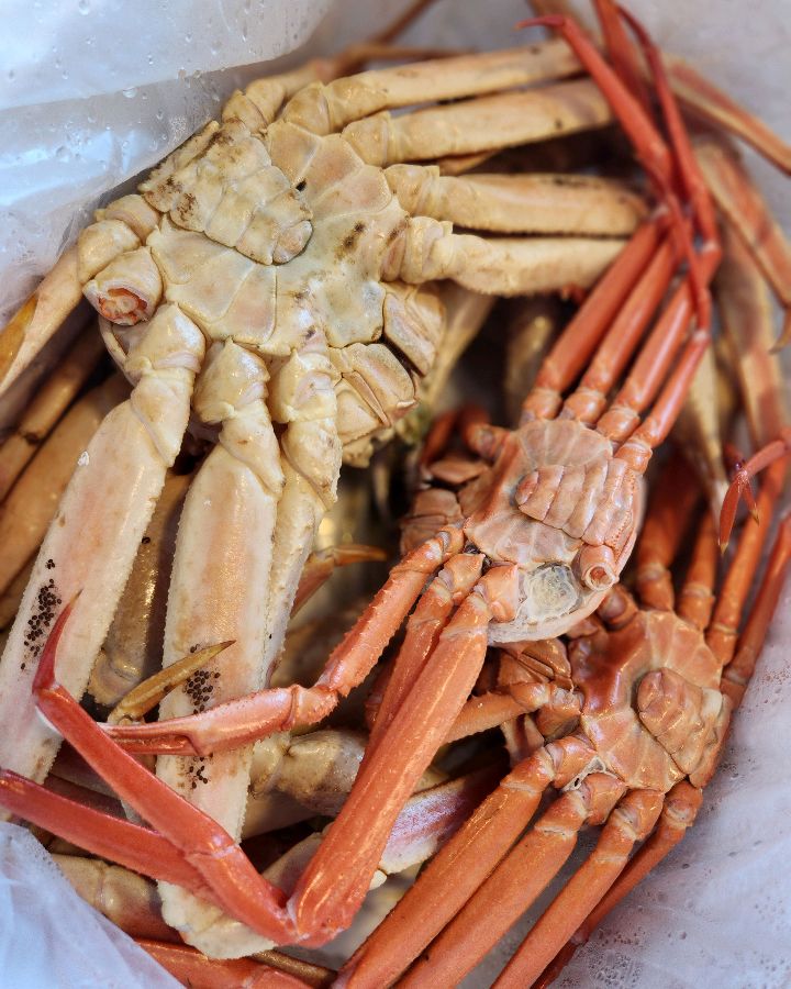 대게와 홍게의 모습