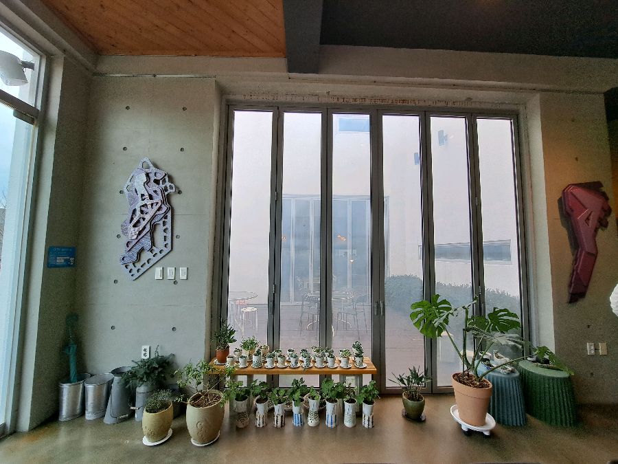 에다소소 내부, 통창으로 들어오는 햇살과 아기자기한 화분들이 놓여있는 모습