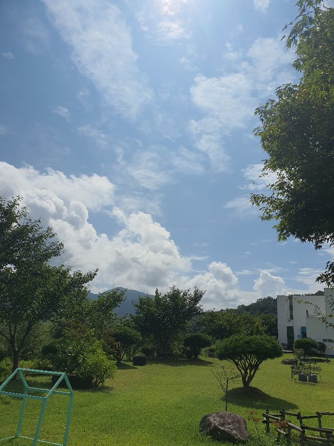 에다소소 야외 정원, 푸른 잔디와 나무들이 어우러져 아름다운 풍경을 자랑한다.